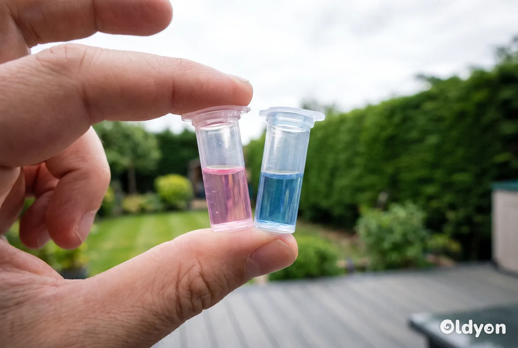 Due fiale trasparenti senza etichetta di liquido reattivo rosa e blu sono tenute in alto contro un cielo luminoso.